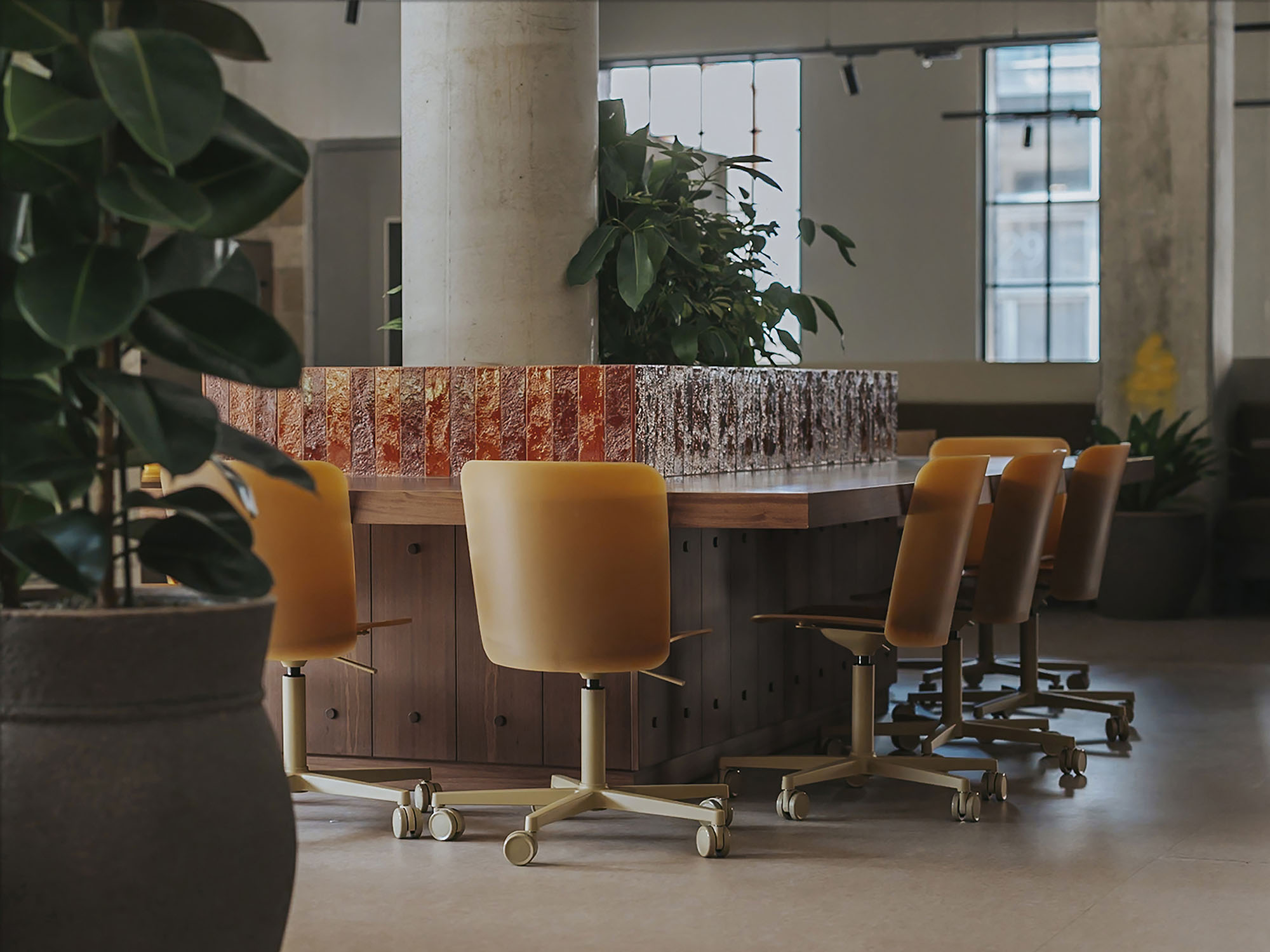 Meadow A-nrd studio-123