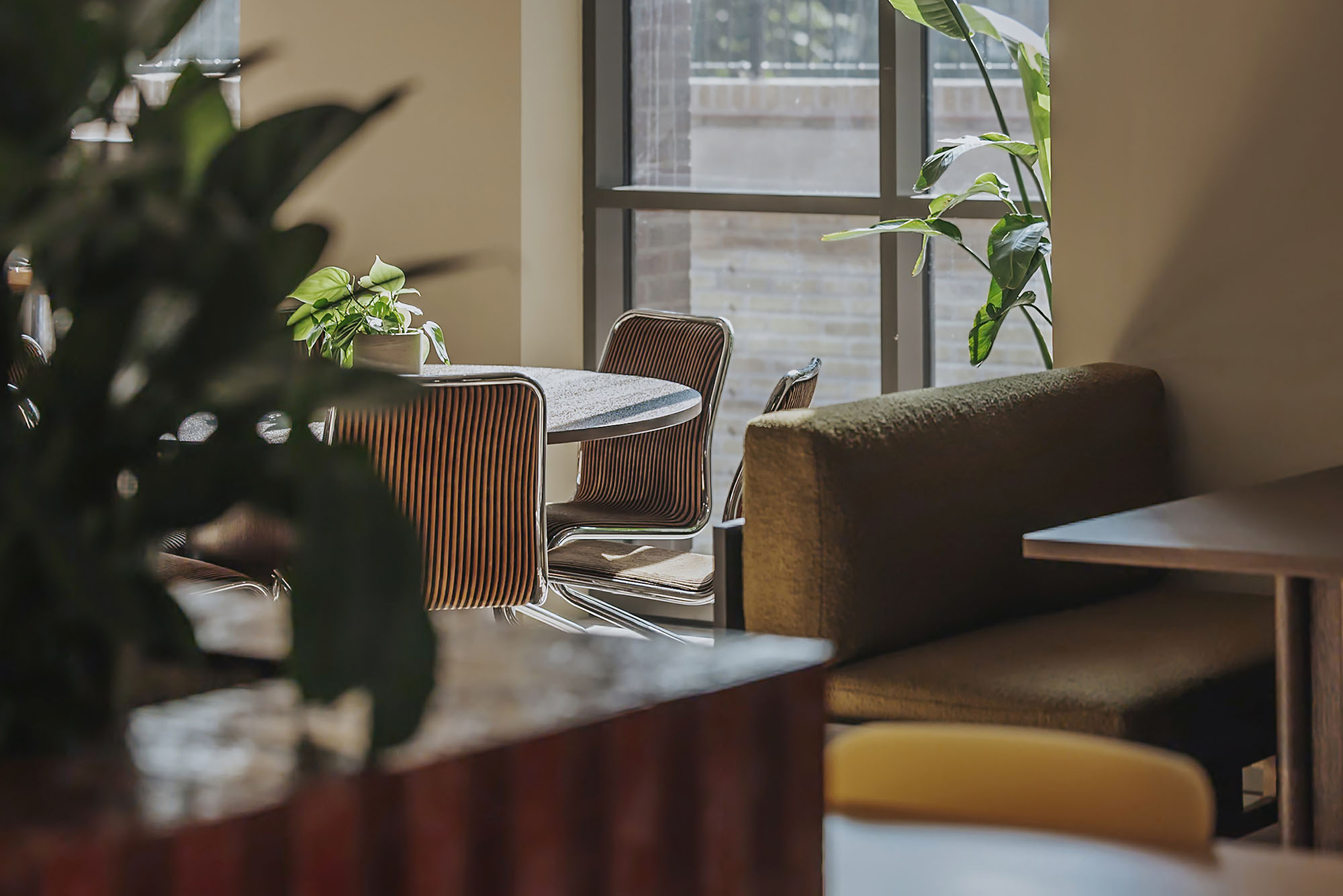 Meadow A-nrd studio-138