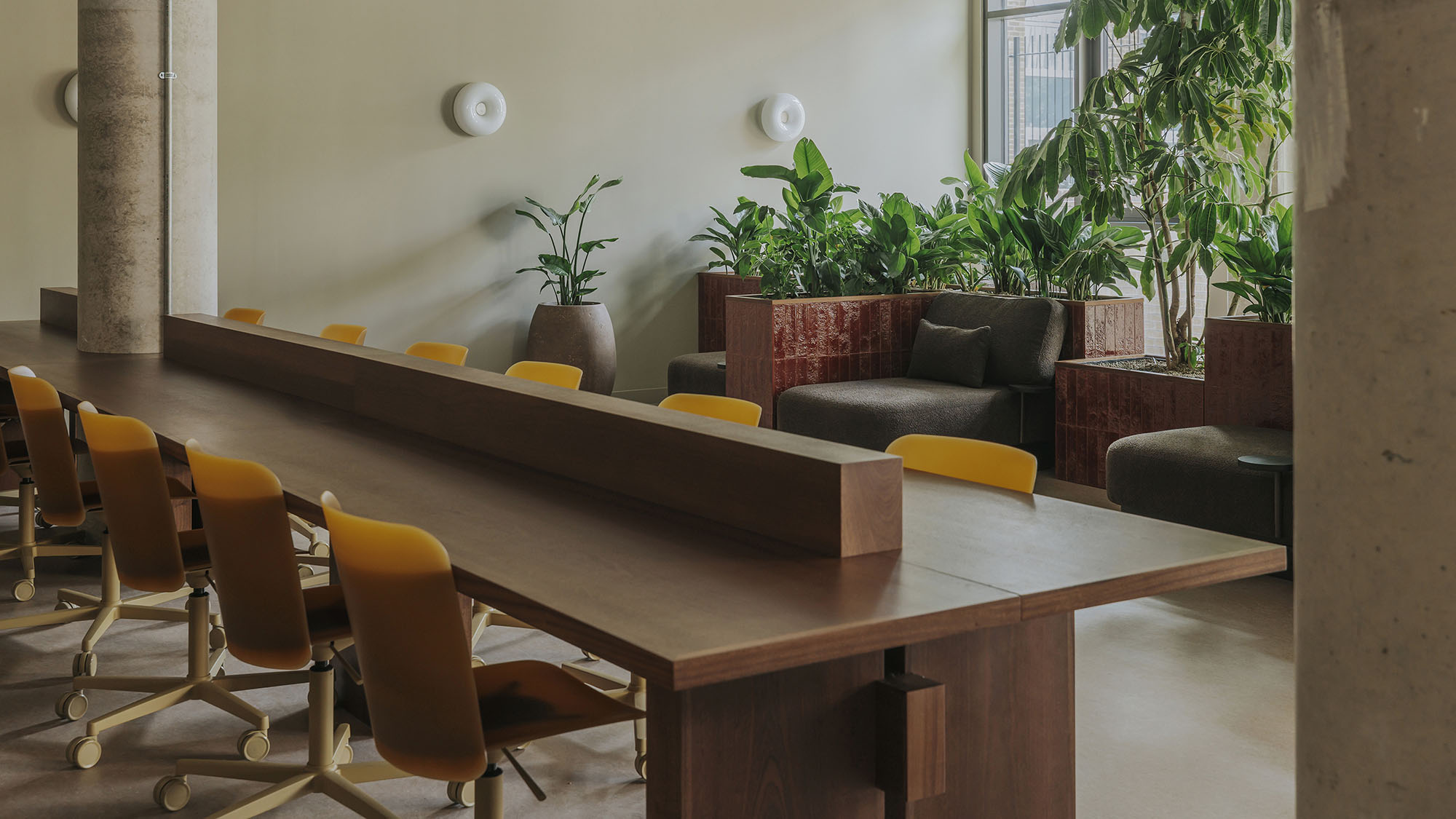 Meadow A-nrd studio-28