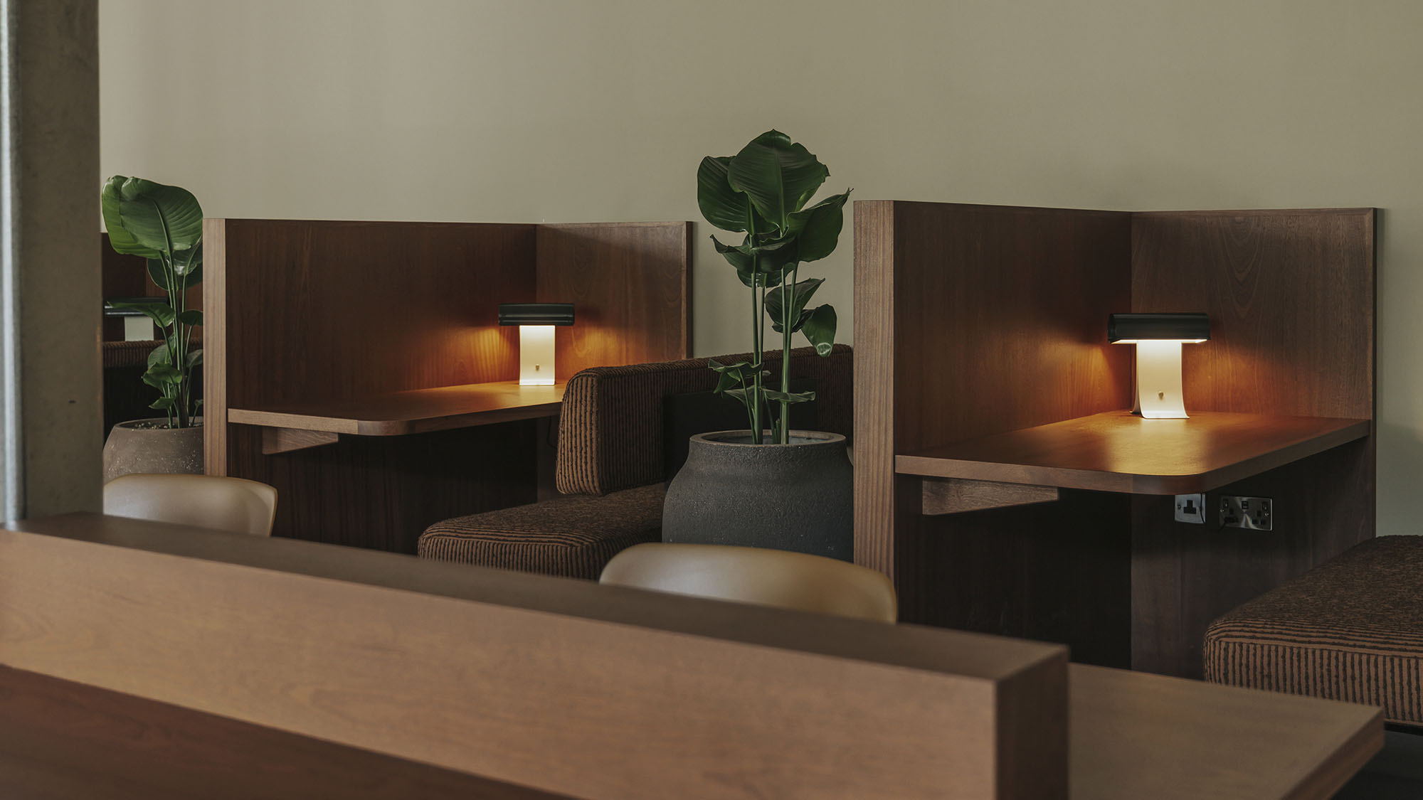 Meadow A-nrd studio-35